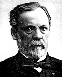 Пастер (Pasteur) Луи (1822–1895)